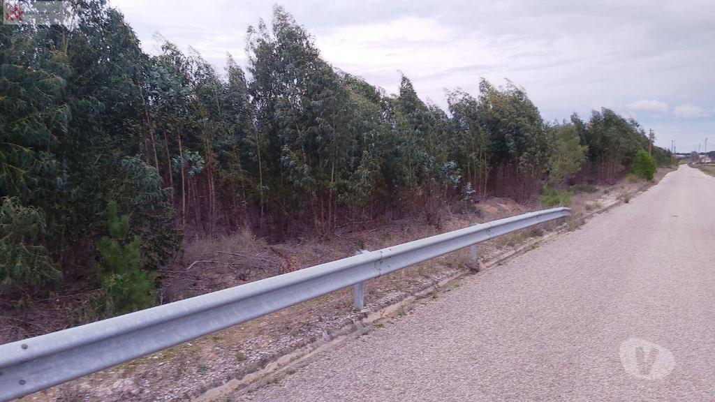 Terrenos Montijo - Fotos para Terreno c 9,6 ha, bons acessos, Stº Isidro de Pegões (PN 23 280)