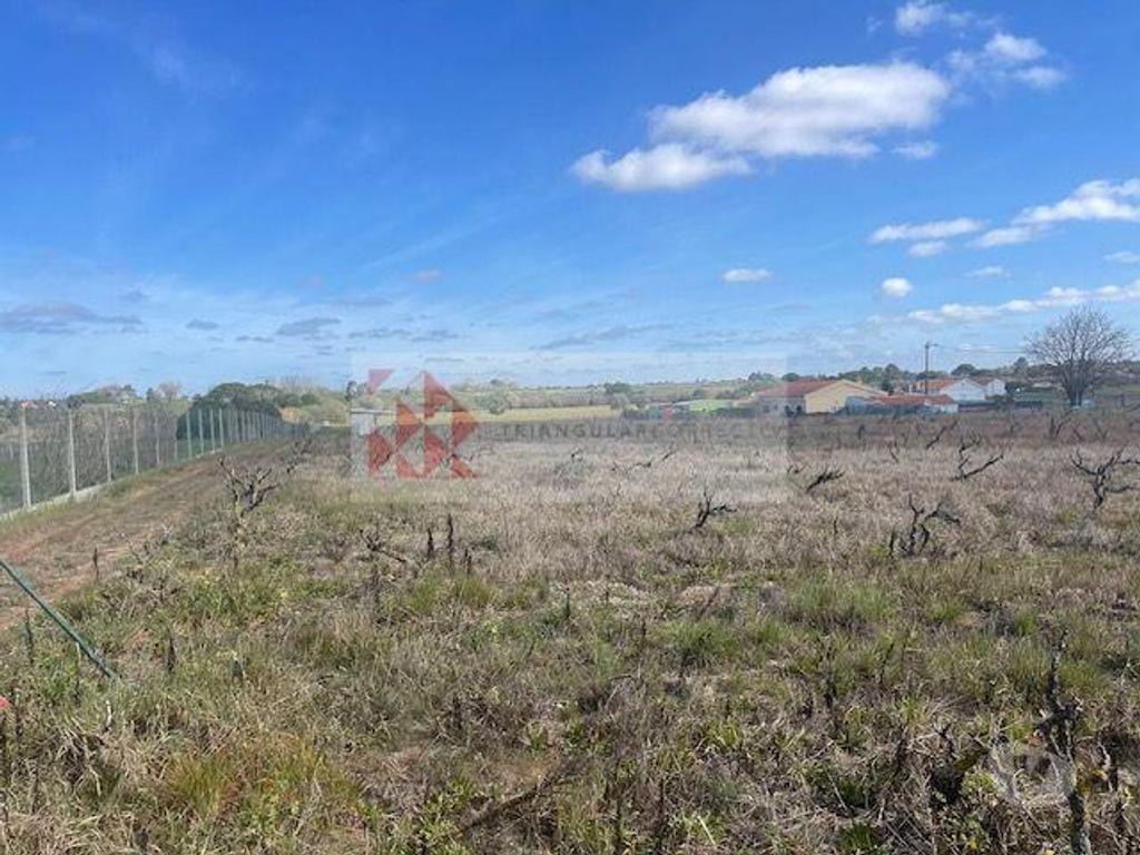 Terrenos Palmela - Fotos para Terreno para construção de Moradia - Forninho - Palmela (PN