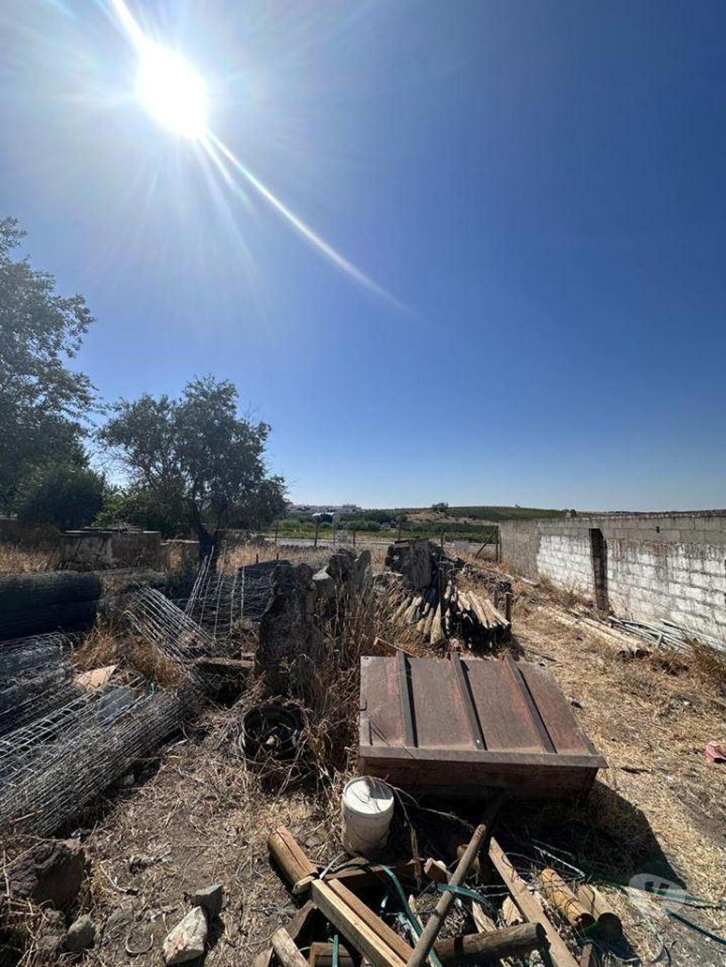 Terrenos Reguengos de Monsaraz - Fotos para Terreno Misto em Perolivas destinado a habitação (Casa em Ruínas