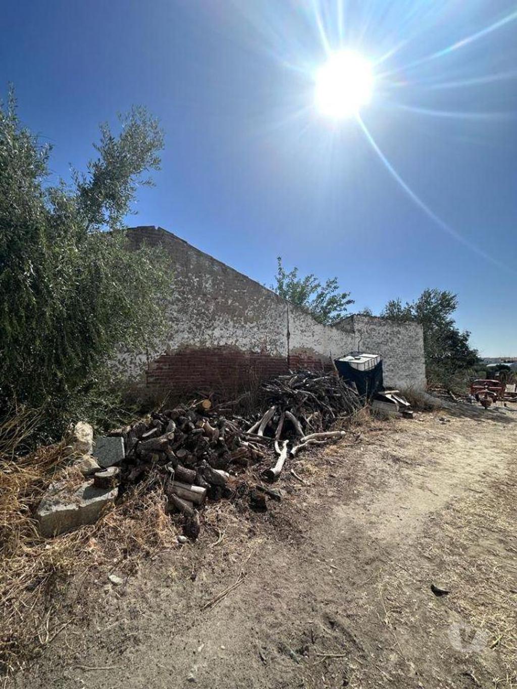 Terrenos Reguengos de Monsaraz - Fotos para Terreno Misto em Perolivas destinado a habitação (Casa em Ruínas