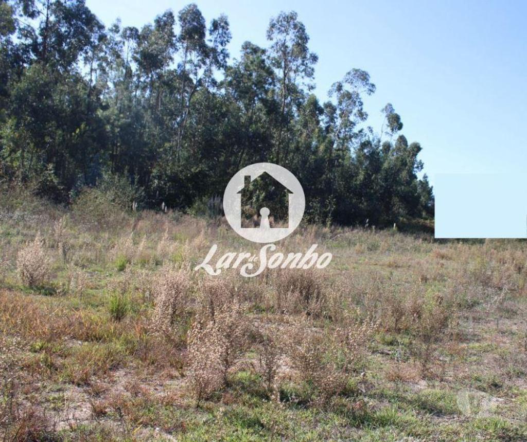 Terrenos Barcelos - Fotos para Terreno para construção de moradia em Barcelos (265-T-01337)