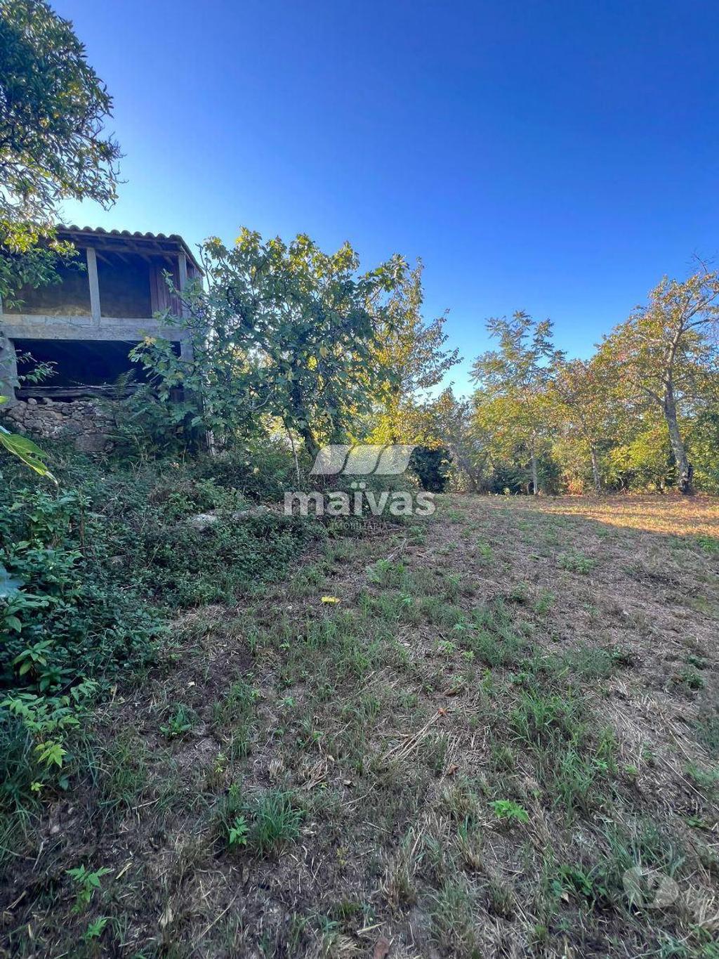 Terrenos Braga - Fotos para Braga-Quinta com 11.583,20 m² (A008-0066)