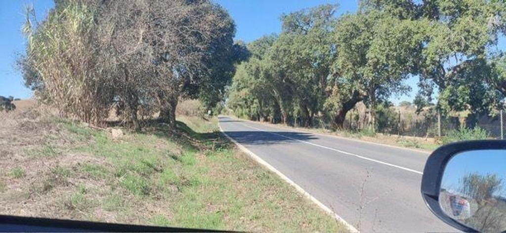 Comprar Loja Santiago do Cacém - Fotos para TERRENO PARA CONSTRUÇÃO BARTOLOMEU SANTIAGO DE CACÉM