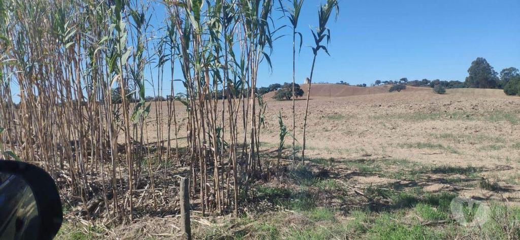 Comprar Loja Santiago do Cacém - Fotos para TERRENO PARA CONSTRUÇÃO BARTOLOMEU SANTIAGO DE CACÉM