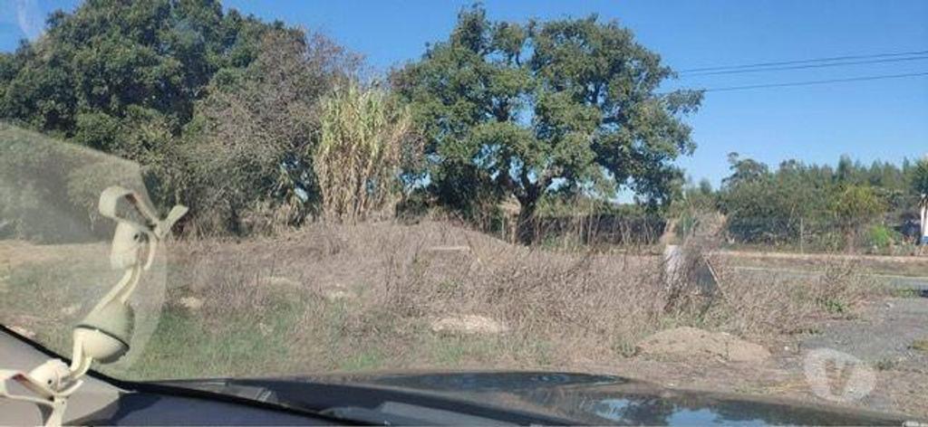 Comprar Loja Santiago do Cacém - Fotos para TERRENO PARA CONSTRUÇÃO BARTOLOMEU SANTIAGO DE CACÉM