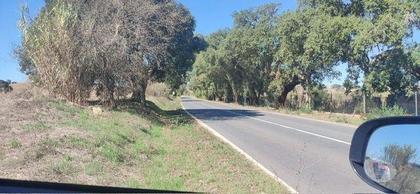 Comprar Loja - Fotos para TERRENO PARA CONSTRUÇÃO BARTOLOMEU SANTIAGO DE CACÉM