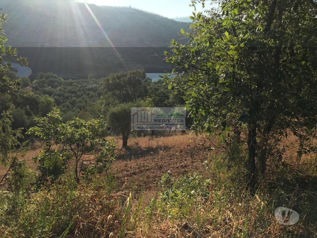 Terrenos Alfândega da Fé - Fotos para Alfandega-da-fe-Quintinhas Baratas - Cerejais (Q 00396)