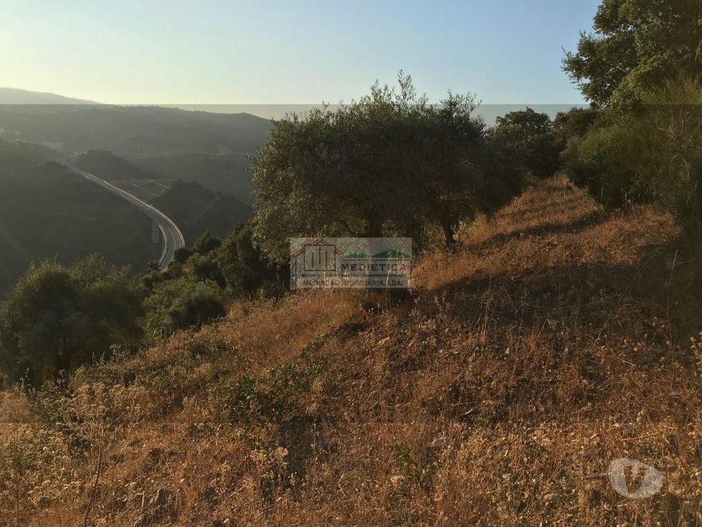 Terrenos Alfândega da Fé - Fotos para Alfandega-da-fe-Quintinhas Baratas - Cerejais (Q 00396)