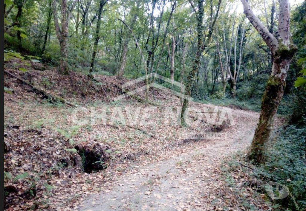 Terrenos Vieira do Minho - Fotos para Fabuloso Terreno junto Água na Caniçada, Gerês (BRG 00004)