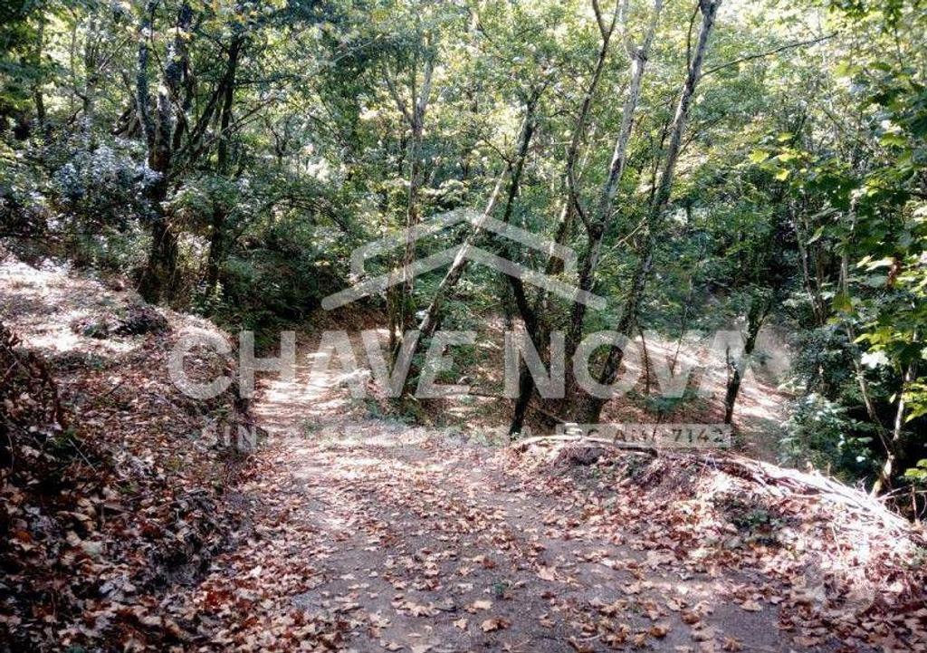 Terrenos Vieira do Minho - Fotos para Fabuloso Terreno junto Água na Caniçada, Gerês (BRG 00004)