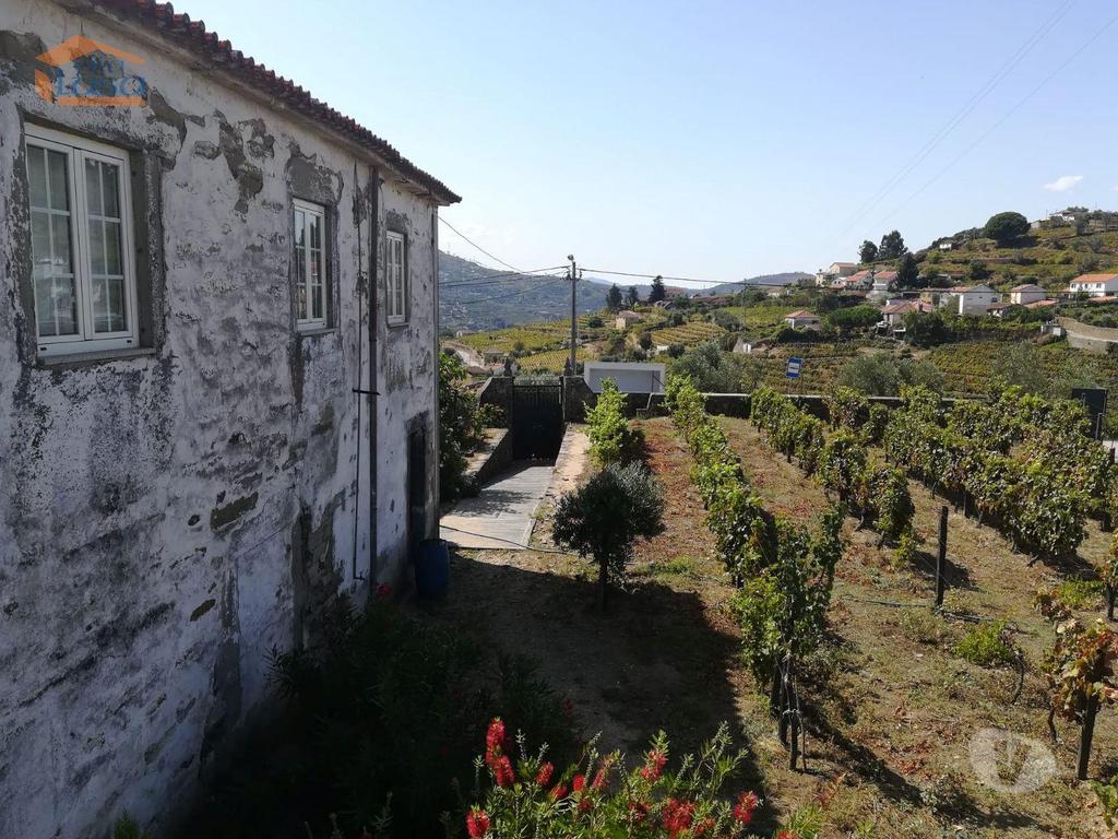 Terrenos Peso da Régua - Fotos para Peso-da-regua-Quinta para venda no Douro (803231005)