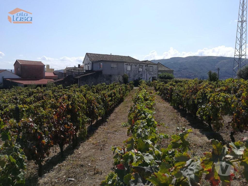 Terrenos Peso da Régua - Fotos para Peso-da-regua-Quinta para venda no Douro (803231005)