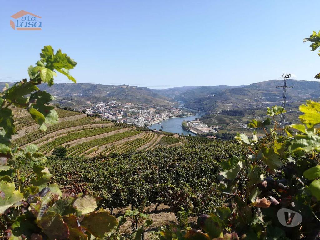Terrenos Peso da Régua - Fotos para Peso-da-regua-Quinta para venda no Douro (803231005)