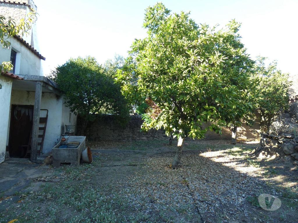 Apartamentos a venda Castelo de Vide - Fotos para Moradia em banda, para venda, Castelo de Vide - Nossa Senhora da