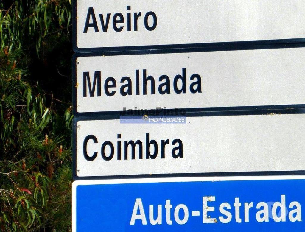 Terrenos Cantanhede - Fotos para Terreno Industrial 14.900m2. Portugal, Coimbra, Cantanhede.