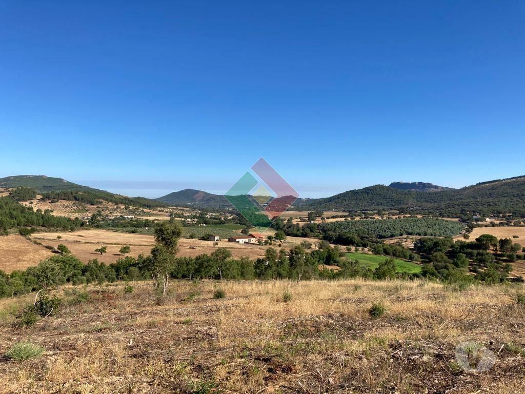 Terrenos Marvão - Fotos para Terreno rústico, para venda, Marvão - S. Salvador da Aramenha