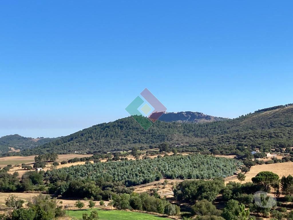 Terrenos Marvão - Fotos para Terreno rústico, para venda, Marvão - S. Salvador da Aramenha