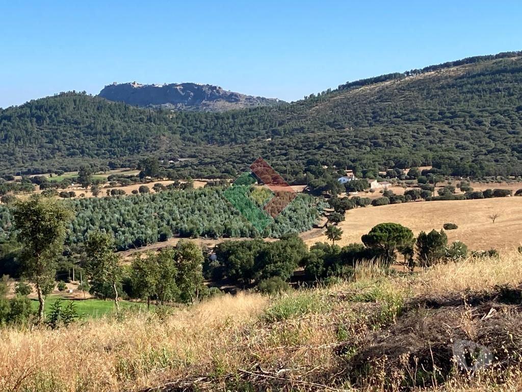 Terrenos Marvão - Fotos para Terreno rústico, para venda, Marvão - S. Salvador da Aramenha