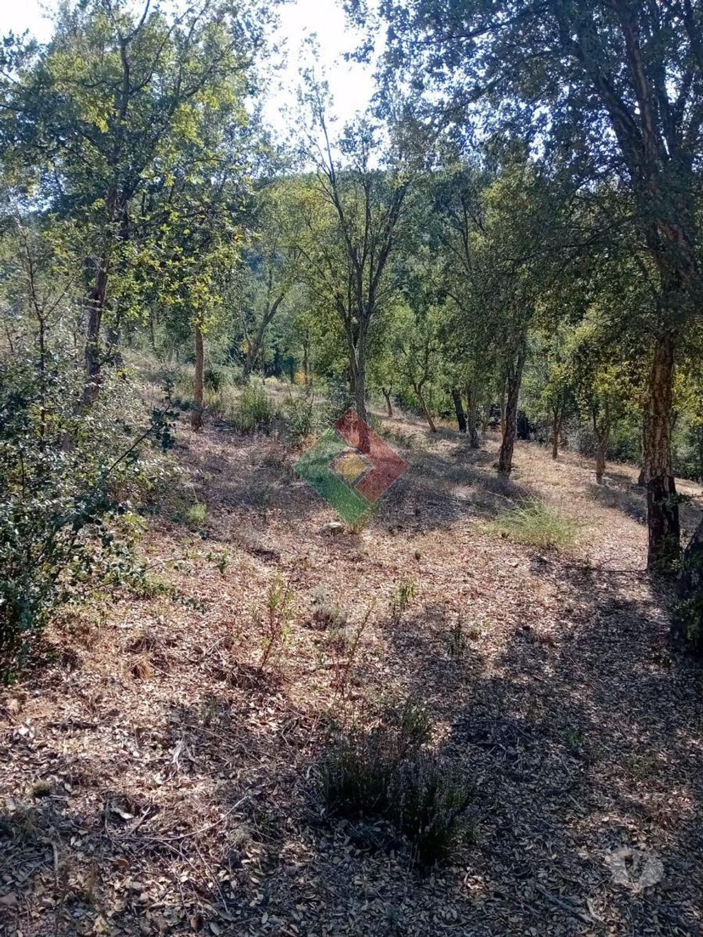 Terrenos Marvão - Fotos para Terreno rústico, para venda, Marvão - S. Salvador da Aramenha