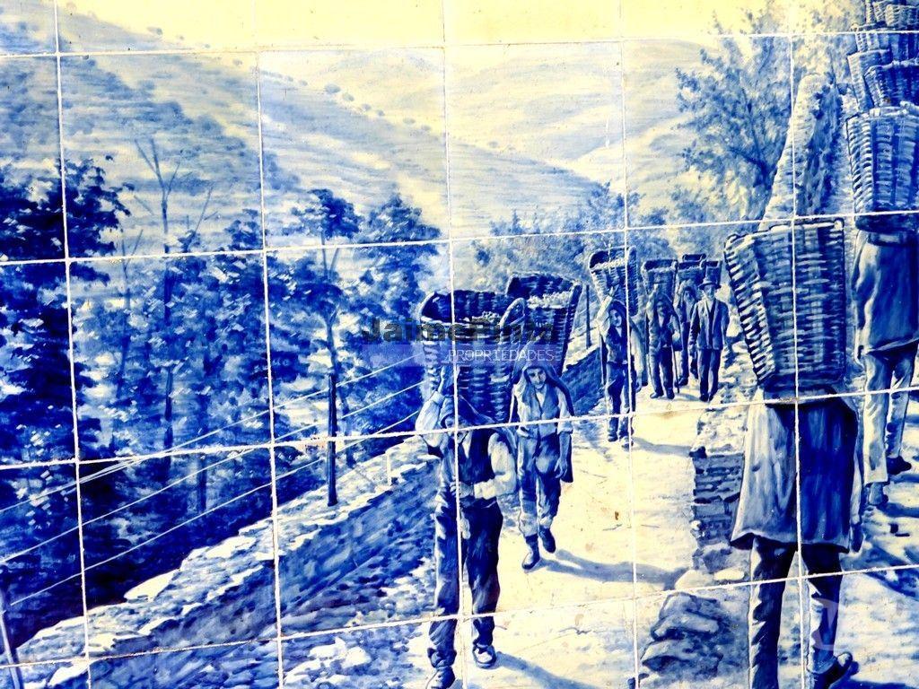 Terrenos Alijó - Fotos para Quinta de Vinho do Porto e Doc. Portugal, Douro, Pinhão. (9414_Q)