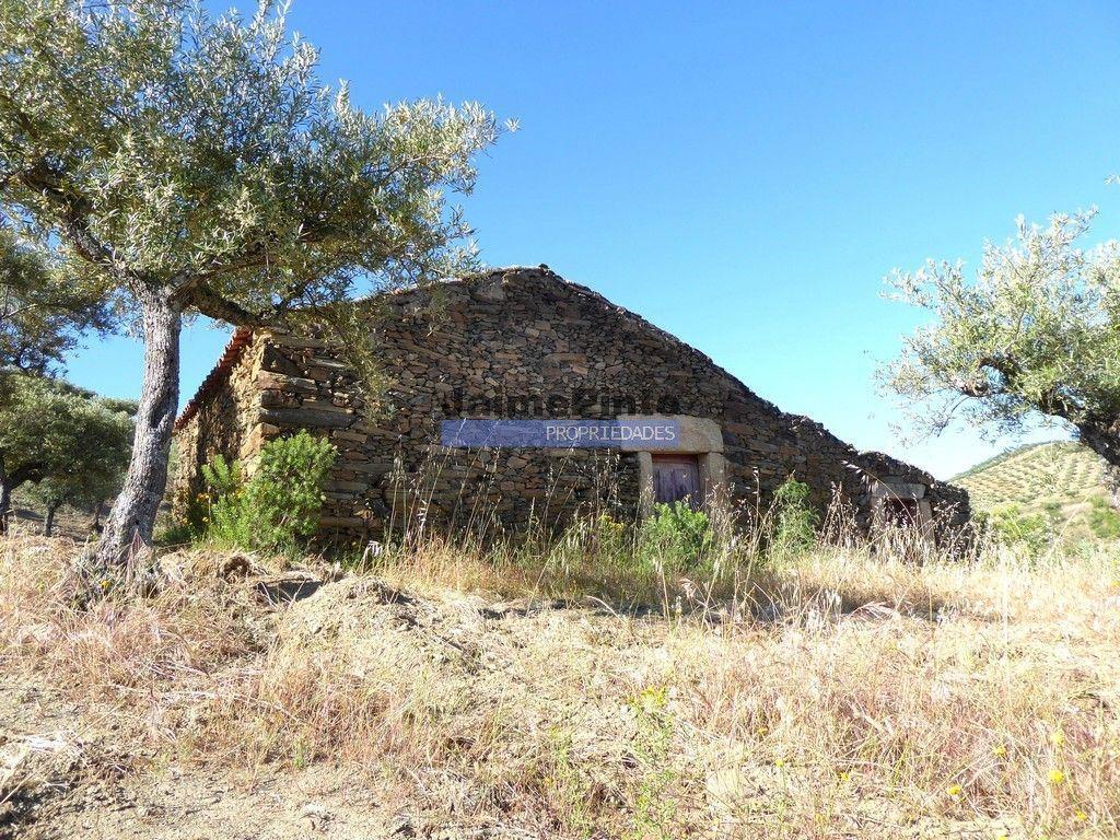 Terrenos Figueira de Castelo Rodrigo - Fotos para 11ha olival amendoal ruína. Barca D'Alva, F.C. Rodrigo. (9410_T)
