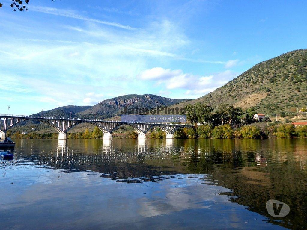 Terrenos Figueira de Castelo Rodrigo - Fotos para 48ha p plantações novas, com olival, sobreiros, ruínas e