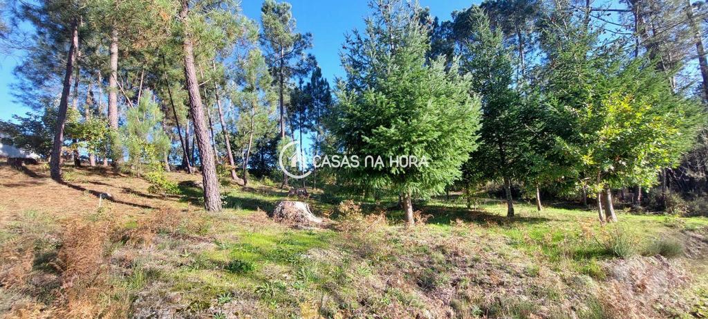 Terrenos Viseu - Fotos para Viseu-Terreno para Construção Soutulho - Viseu (viseu T 01736)