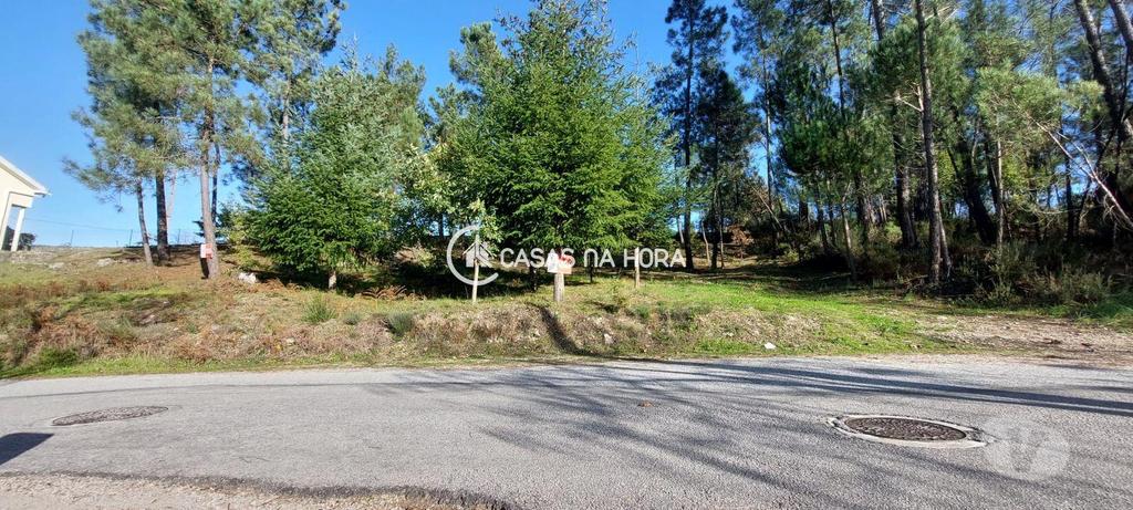 Terrenos Viseu - Fotos para Viseu-Terreno para Construção Soutulho - Viseu (viseu T 01736)