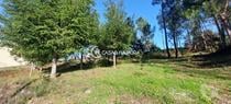 Viseu-Terreno para Construção Soutulho - Viseu (viseu T 01736)