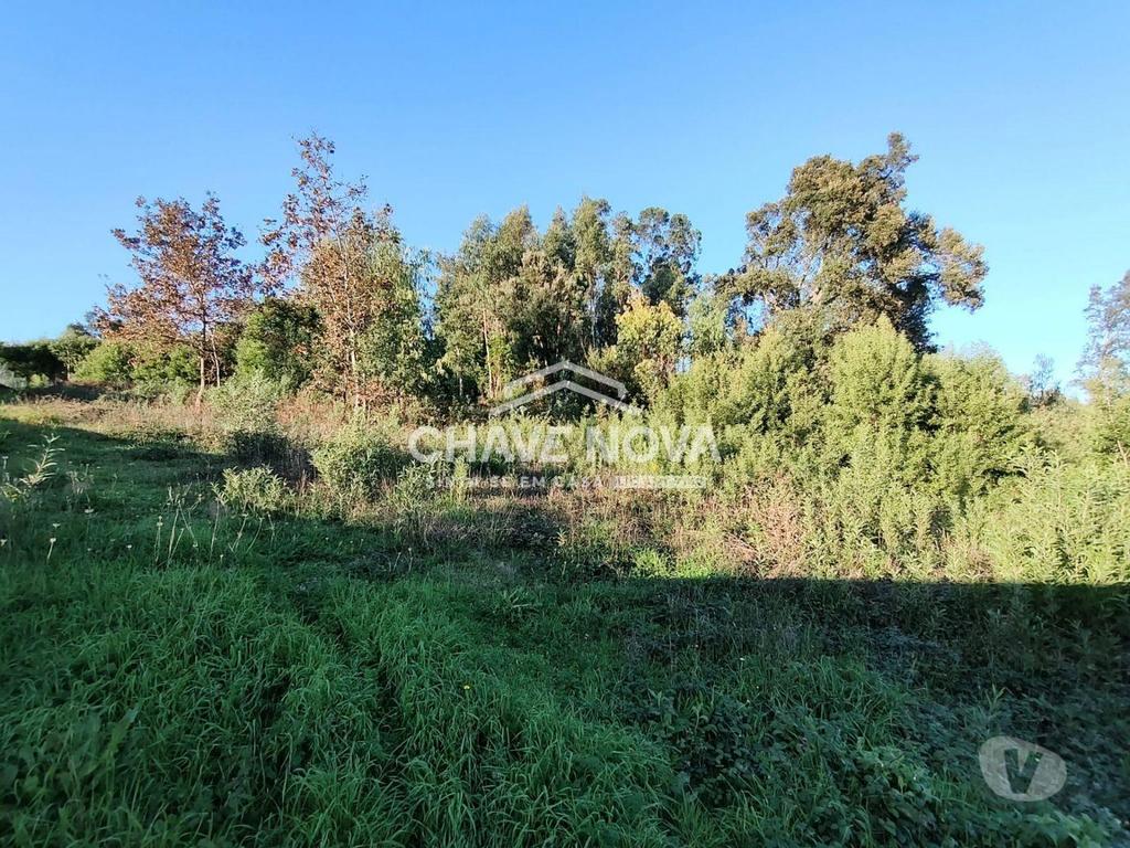 Terrenos Santa Maria da Feira - Fotos para Terreno com 1410m2 para construção em Argoncilhe (SMF 02569)