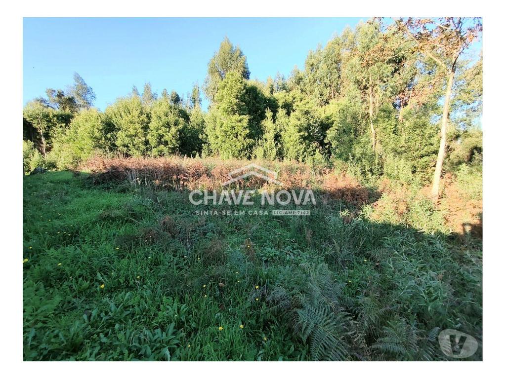 Terrenos Santa Maria da Feira - Fotos para Terreno com 1410m2 para construção em Argoncilhe (SMF 02569)