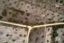 Terreno rústico, para venda, Abrantes - Pego (8-T-000037)
