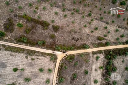 Terrenos e Quintas - Fotos para Terreno rústico, para venda, Abrantes - Pego (8-T-000037)