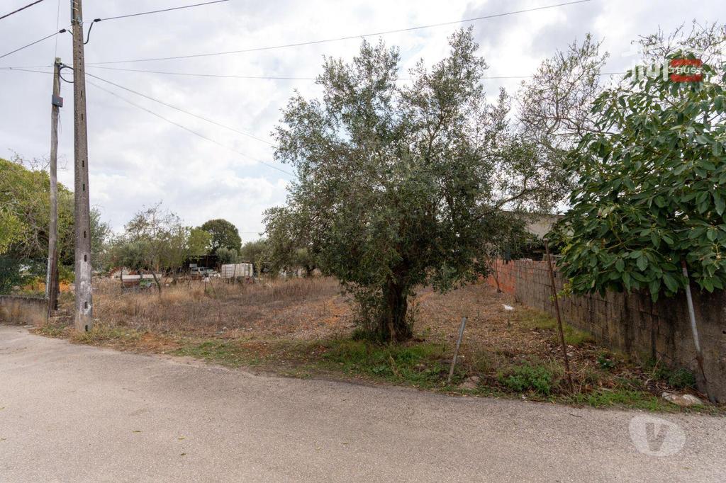 Terrenos Torres Novas - Fotos para Excelente Oportunidade Excelente Oportunidade de Investimento