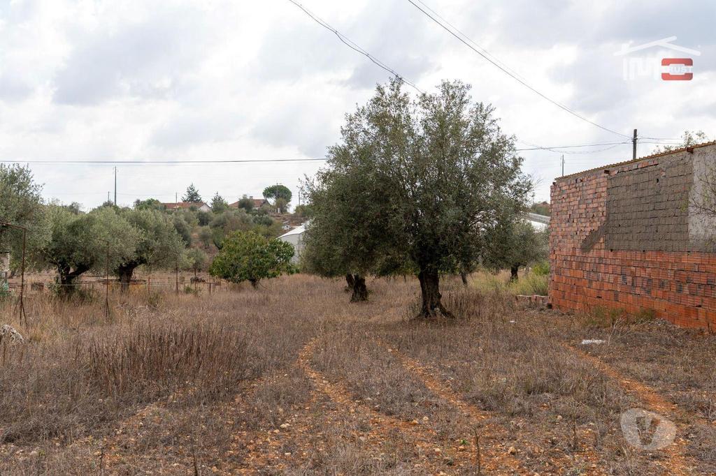 Terrenos Torres Novas - Fotos para Excelente Oportunidade Excelente Oportunidade de Investimento