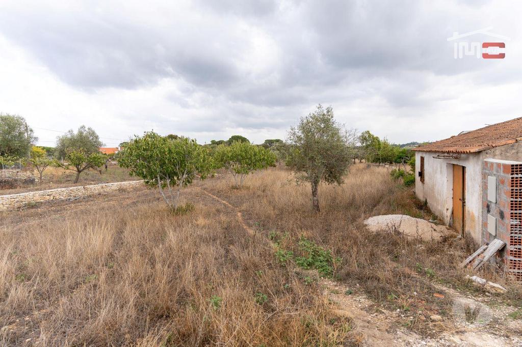 Terrenos Torres Novas - Fotos para Excelente Oportunidade Excelente Oportunidade de Investimento