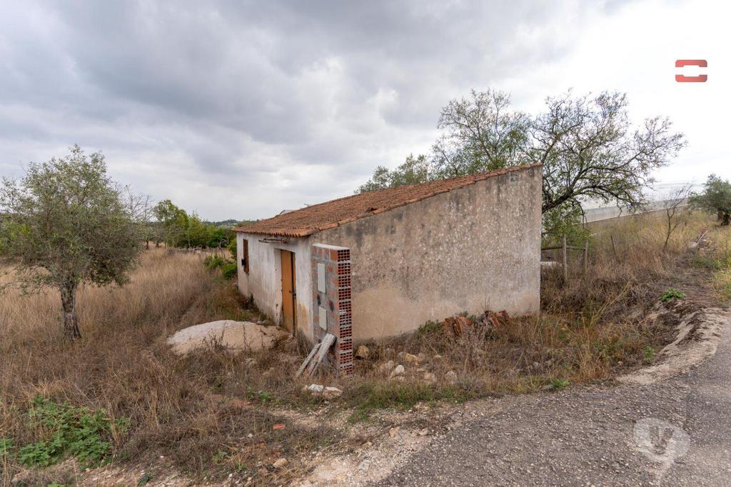 Terrenos Torres Novas - Fotos para Excelente Oportunidade Excelente Oportunidade de Investimento