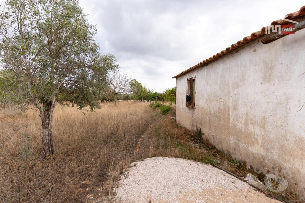 Terrenos Torres Novas - Fotos para Excelente Oportunidade Excelente Oportunidade de Investimento