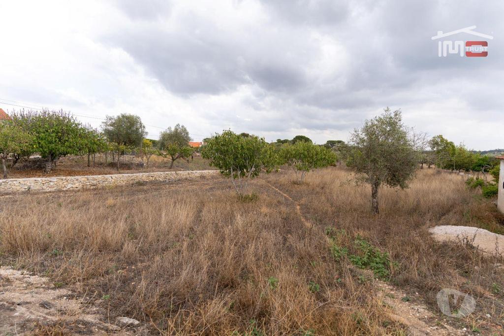 Terrenos Torres Novas - Fotos para Excelente Oportunidade Excelente Oportunidade de Investimento