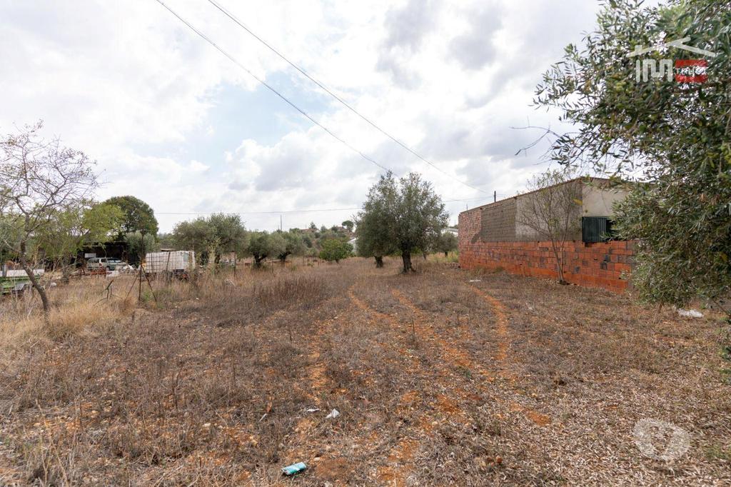 Terrenos Torres Novas - Fotos para Excelente Oportunidade Excelente Oportunidade de Investimento
