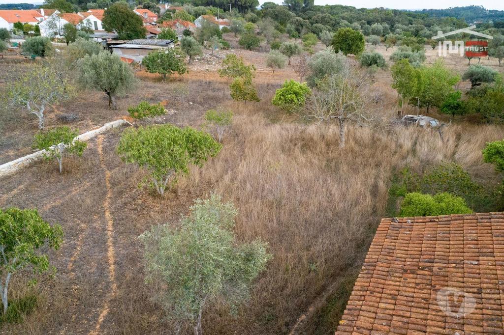 Terrenos Torres Novas - Fotos para Excelente Oportunidade Excelente Oportunidade de Investimento