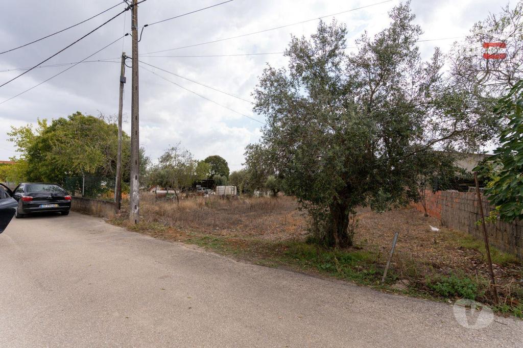 Terrenos Torres Novas - Fotos para Excelente Oportunidade Excelente Oportunidade de Investimento