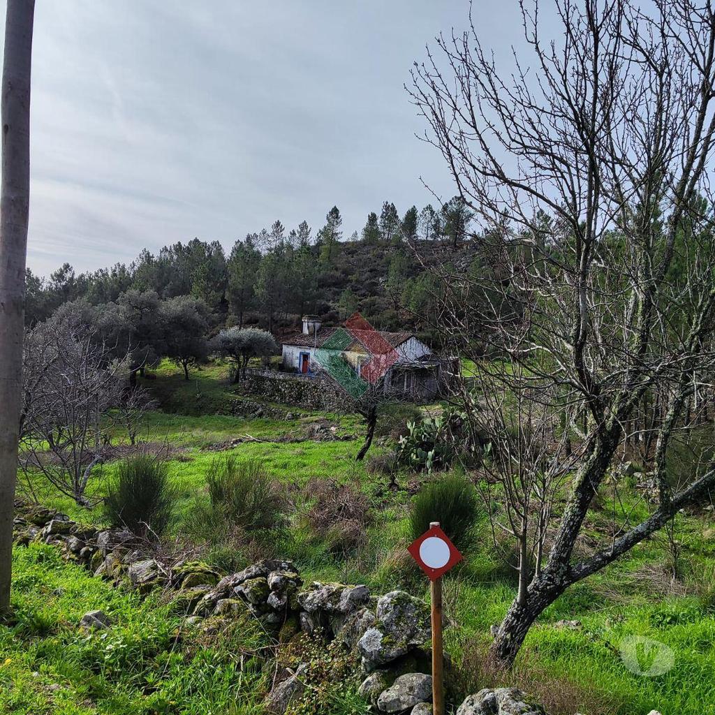 Terrenos Marvão - Fotos para Quinta, para venda, Marvão - S. Salvador da Aramenha (MG.11205)