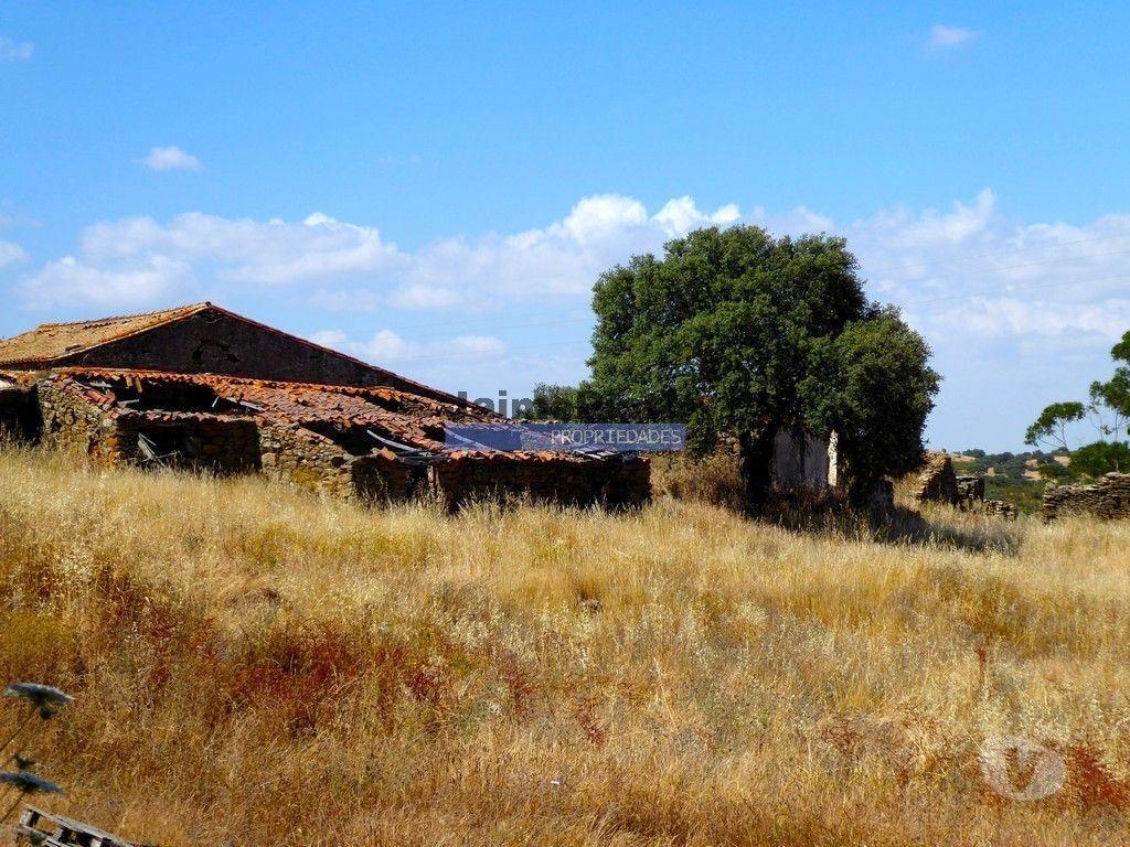 Terrenos Almodôvar - Fotos para Herdade 162,5ha no Alentejo. Portugal, Beja, Almodôvar. (9445_T)