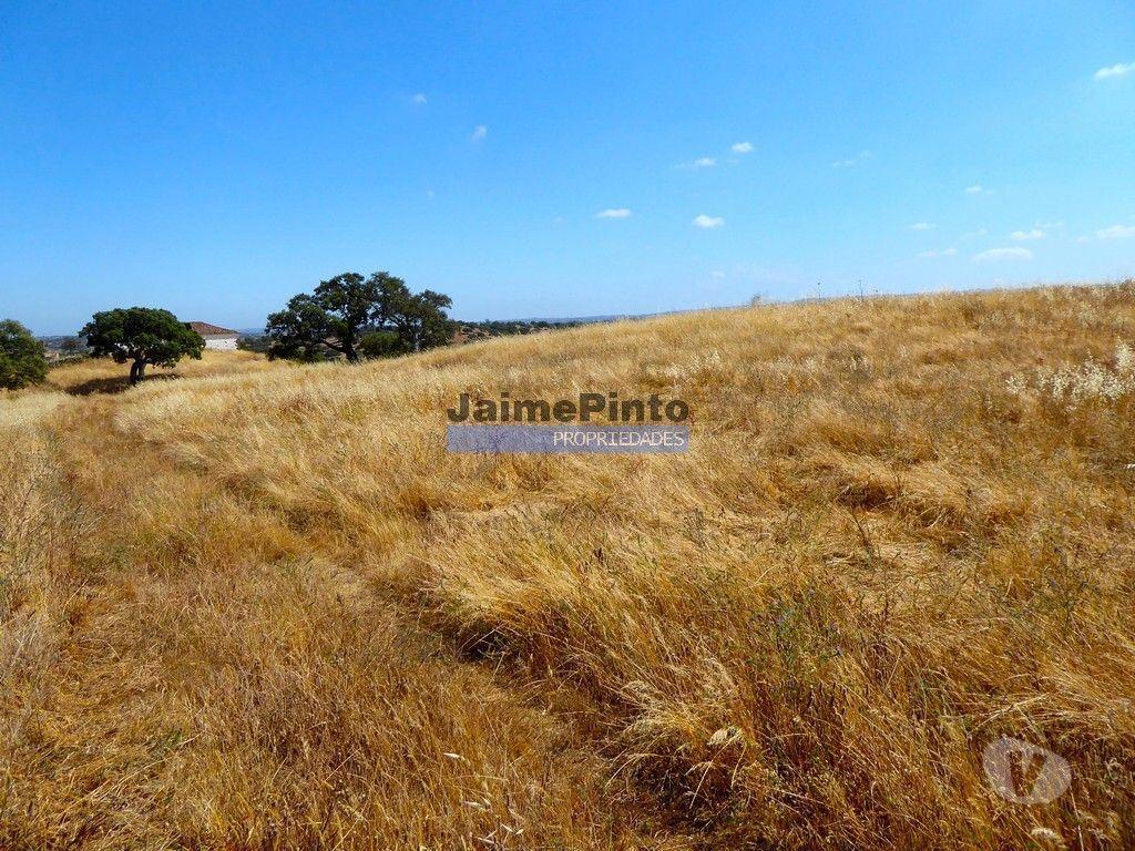 Terrenos Almodôvar - Fotos para Herdade 162,5ha no Alentejo. Portugal, Beja, Almodôvar. (9445_T)
