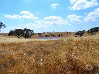 Terrenos - Fotos para Herdade 162,5ha no Alentejo. Portugal, Beja, Almodôvar. (9445_T)