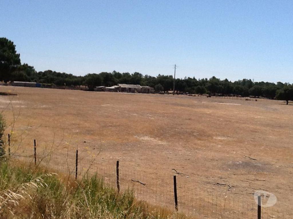 Comprar Loja Montijo - Fotos para Terreno industrial 17ha Montijo PIP aprovado com licenças a...
