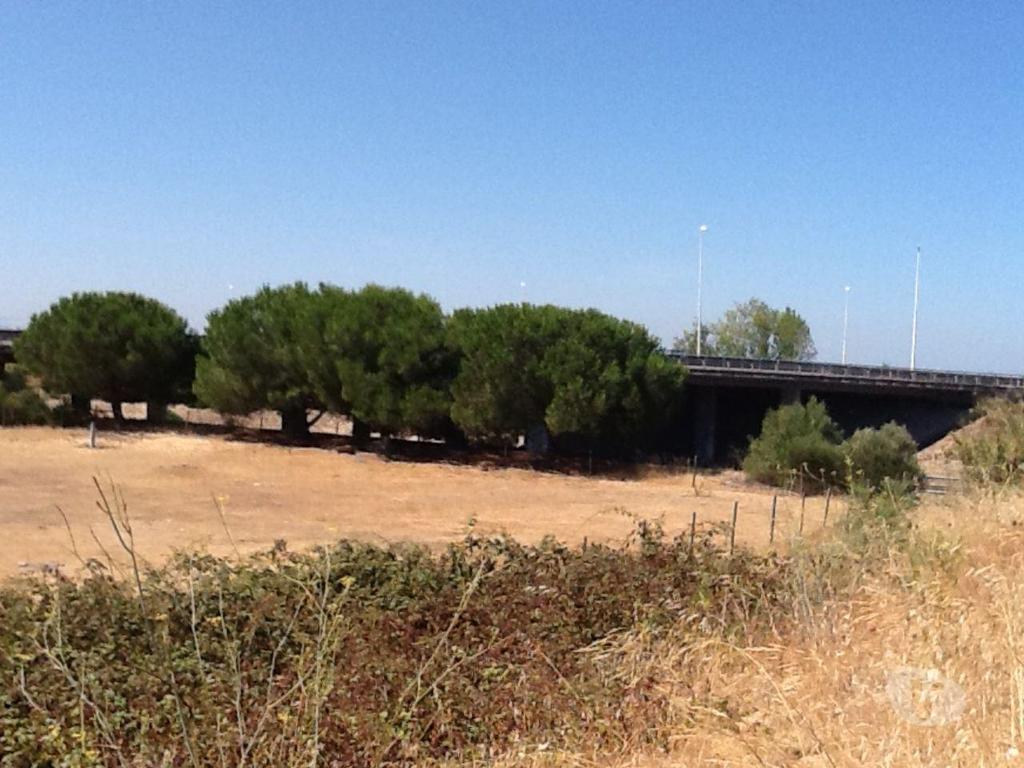 Comprar Loja Montijo - Fotos para Terreno industrial 17ha Montijo PIP aprovado com licenças a...