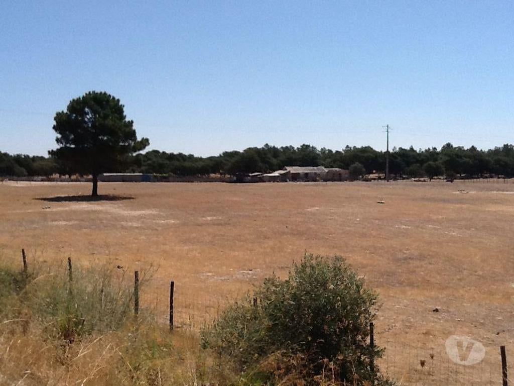 Comprar Loja Montijo - Fotos para Terreno industrial 17ha Montijo PIP aprovado com licenças a...