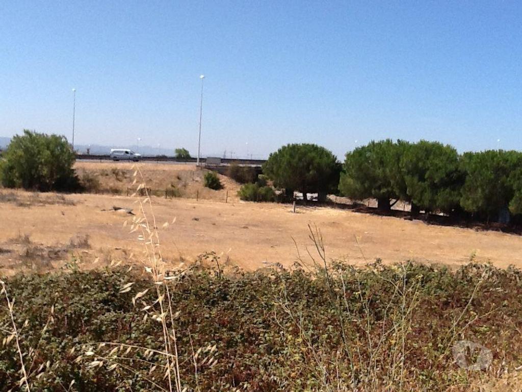 Comprar Loja Montijo - Fotos para Terreno industrial 17ha Montijo PIP aprovado com licenças a...